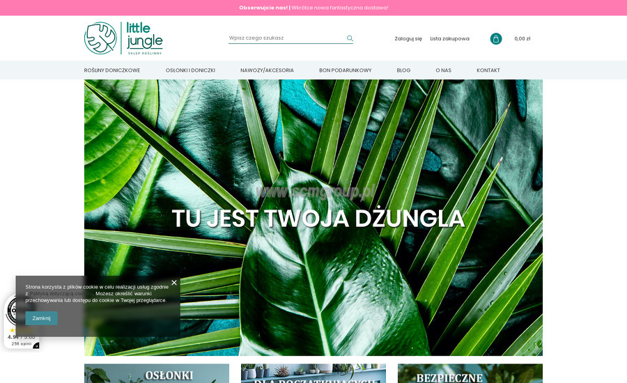 little-jungle